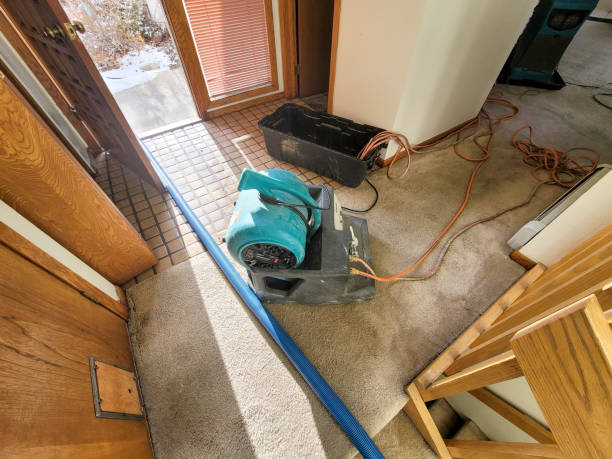 Local water damage restoration in AL