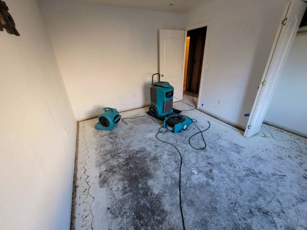 Best Fire Damage Restoration  in Fyffe, AL