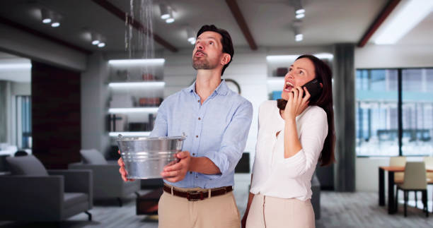 Best Flood damage cleanup  in Fyffe, AL