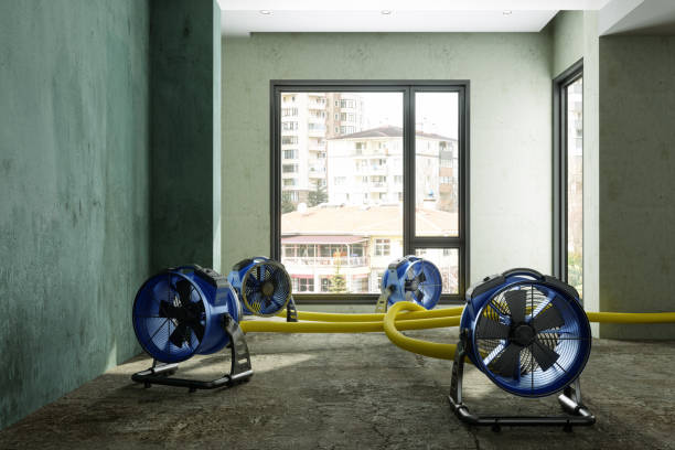 Best Carpet water damage restoration  in Fyffe, AL
